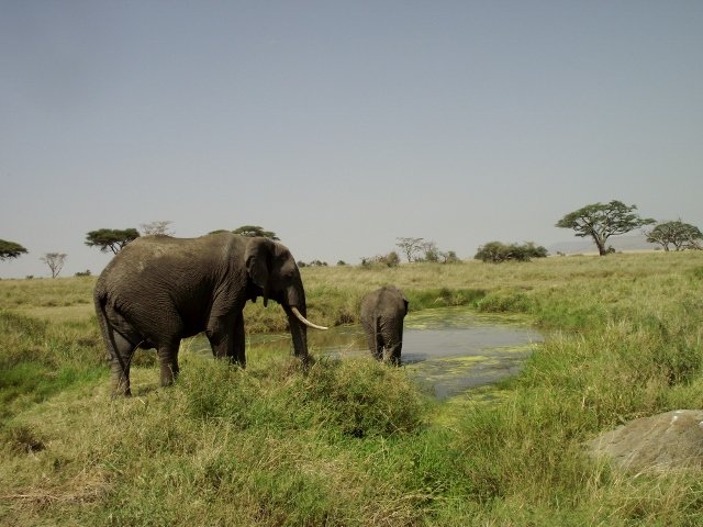 Tanzania 169